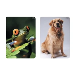 HOPTOYS Lexique, Imagerie, Langage Oral<Animaux - Imagier Webber