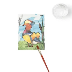 HOPTOYS Creativite*Aquapaint Oiseaux Magnifiques