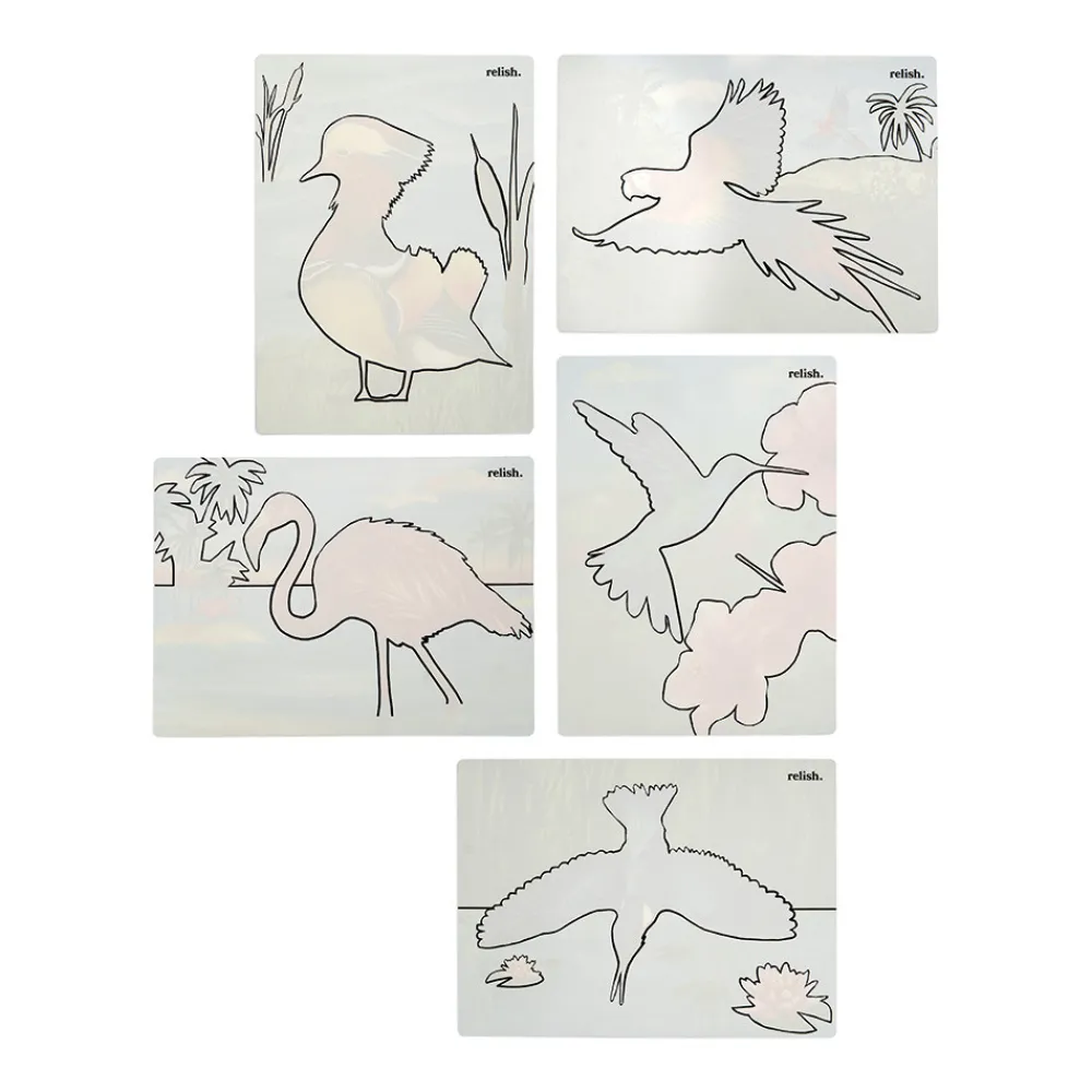 HOPTOYS ReÉducation Cognitive, Troubles Neurologiques<Aquapaint Oiseaux Magnifiques