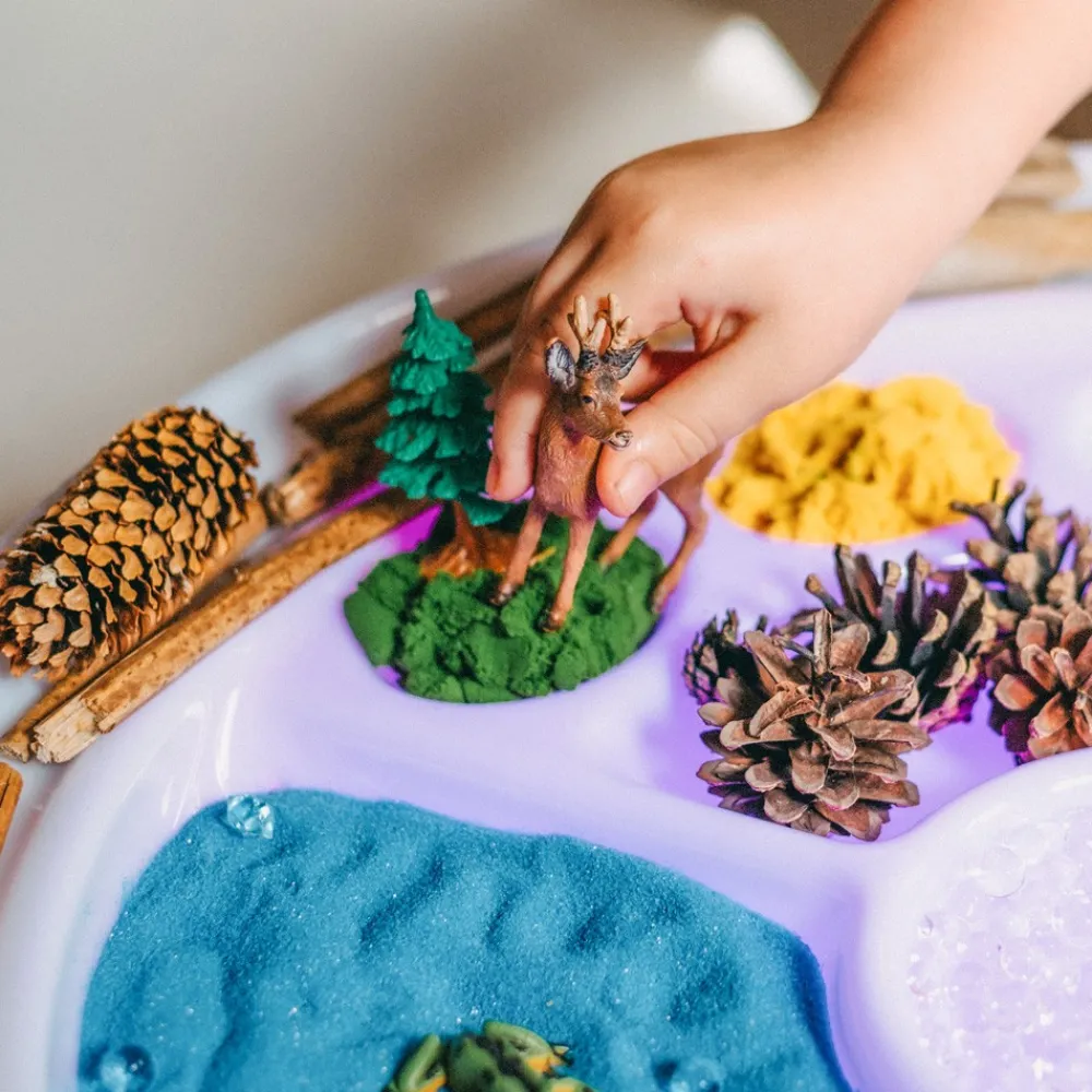HOPTOYS Idees Cadeaux Pour Une Personne Avec Un Handicap Visuel*Bac D'Exploration Rond Magic Light