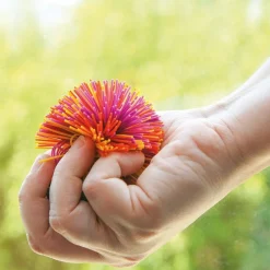 HOPTOYS Intégration Sensorielle<Balle Pompon
