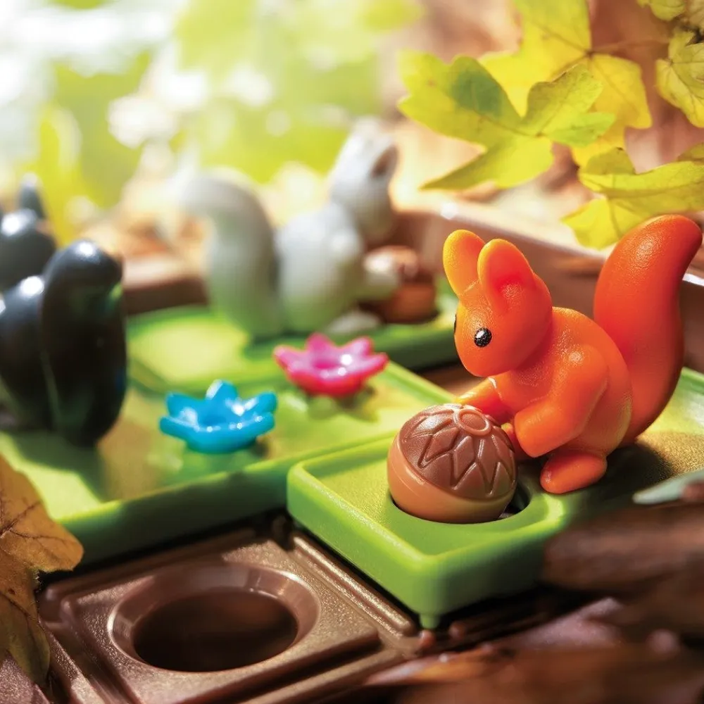 HOPTOYS Jeux Éducatifs*Cache Noisettes