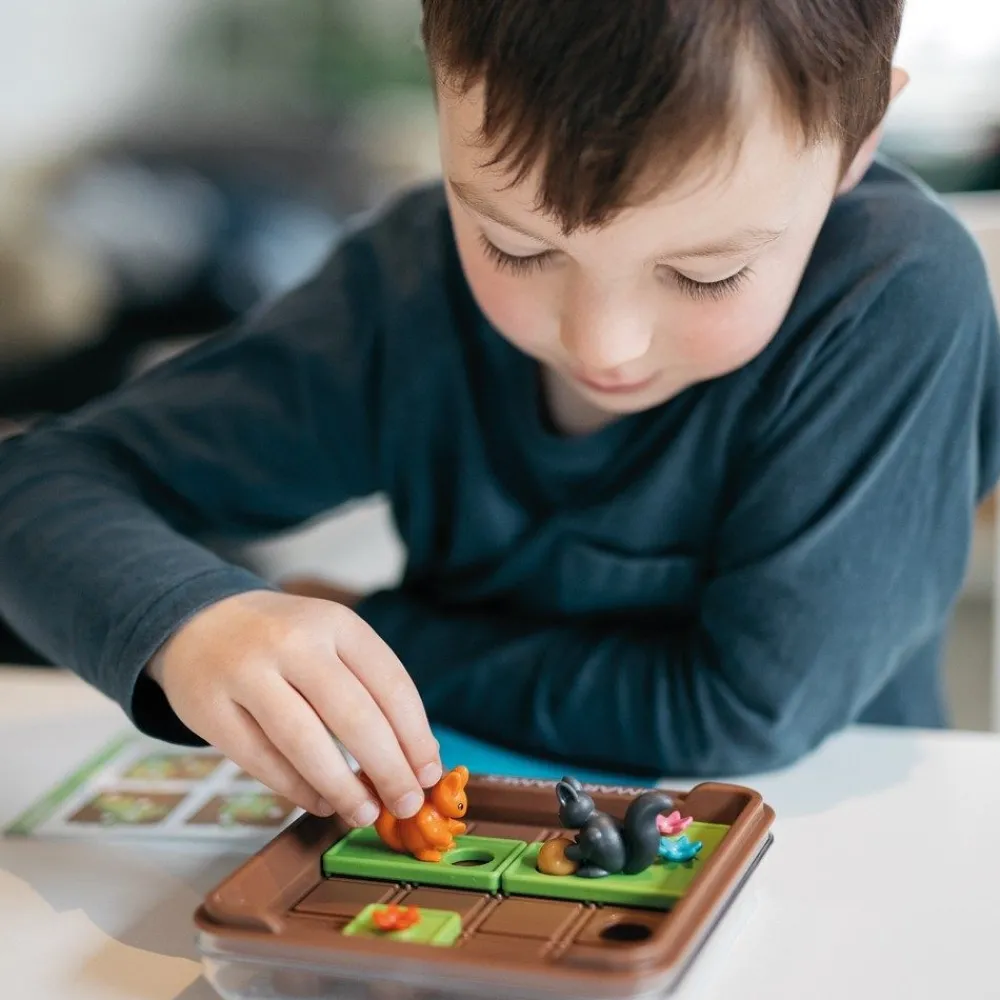 HOPTOYS Jeux Éducatifs*Cache Noisettes