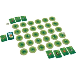 HOPTOYS Cycle 1 (Maternelle)<Chasseurs En Herbe