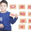 HOPTOYS Praxies Bucco-Faciales<Coffret De ReÉducation Logo-Bits