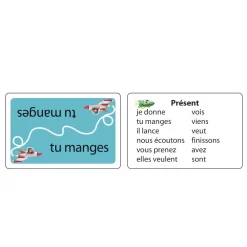 HOPTOYS Morpho-Syntaxe, Grammaire, Orthographe<Conju Cat'S