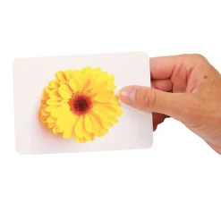 HOPTOYS Dysphasie*Construire Le Langage : Les Noms Et Les Images 2