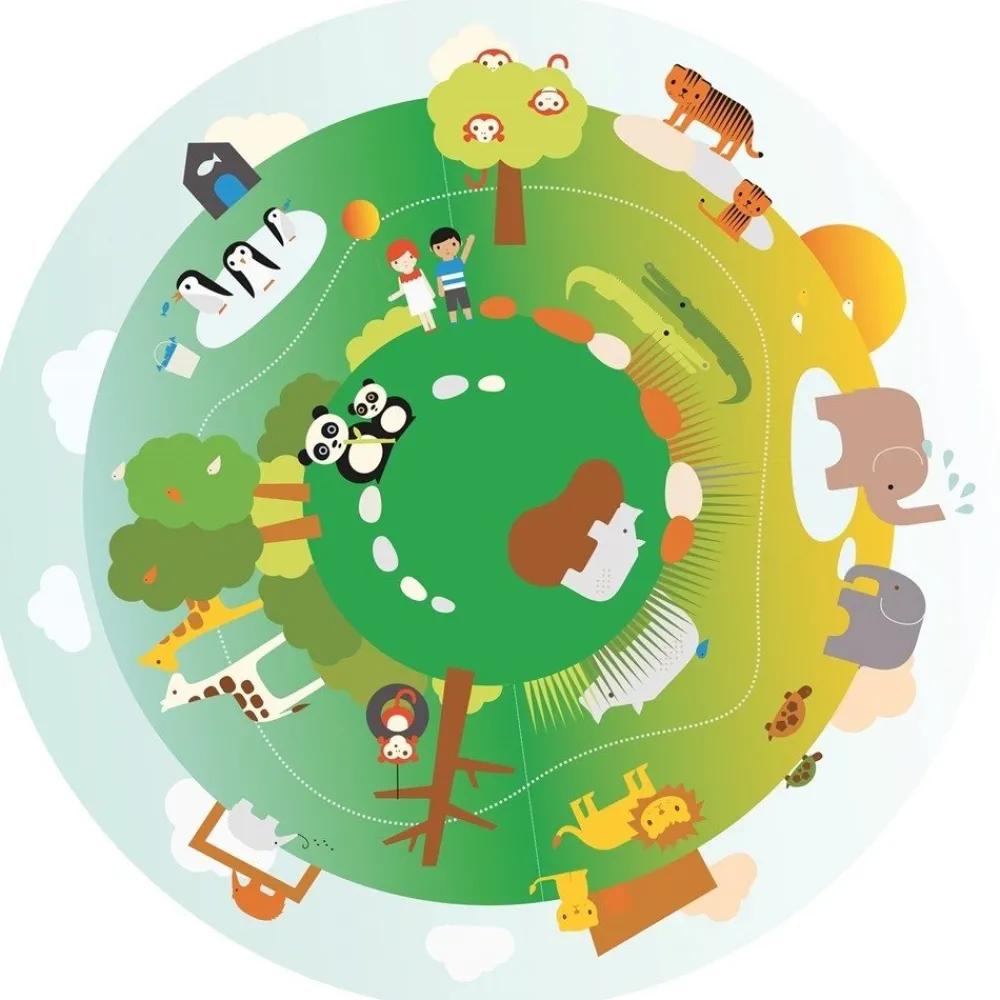 HOPTOYS Espaces Multisensoriels<Disques Pour Projecteur De L'Espace