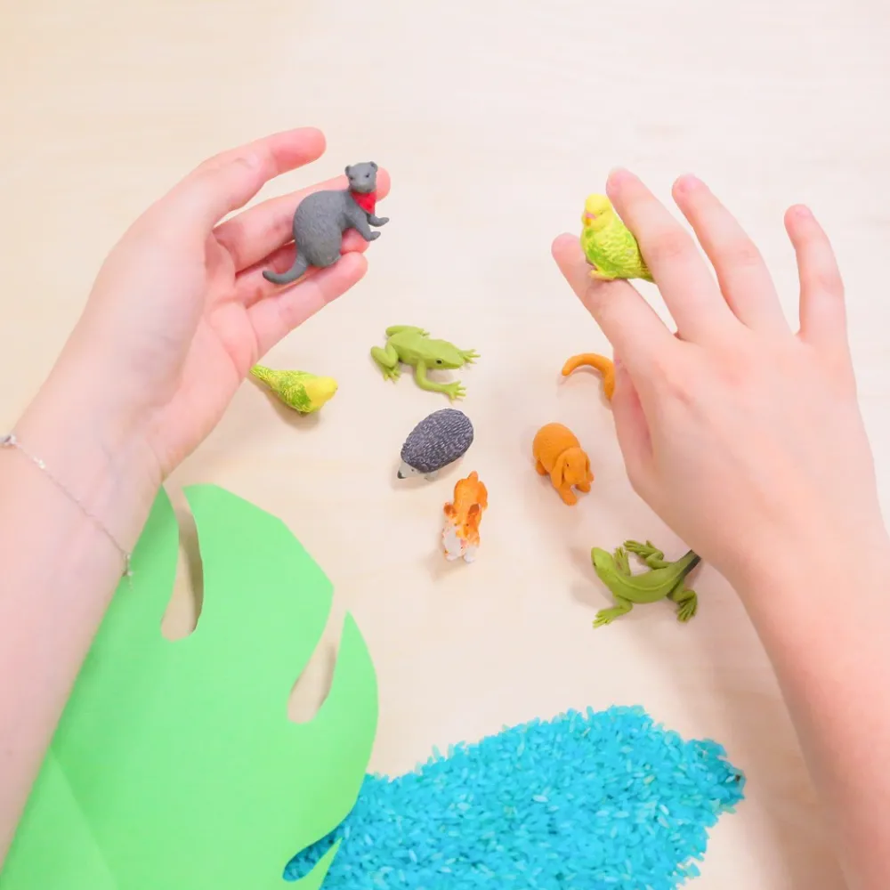 HOPTOYS Jeux Éducatifs*Figurines Animaux De Compagnie