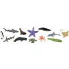 HOPTOYS Lexique, Imagerie, Langage Oral<Figurines Autour De L'Ocean