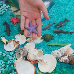 HOPTOYS Lexique, Imagerie, Langage Oral<Figurines Autour De L'Ocean