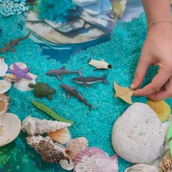 HOPTOYS Lexique, Imagerie, Langage Oral<Figurines Autour De L'Ocean