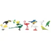 HOPTOYS Lexique, Imagerie, Langage Oral<Figurines Oiseaux Exotiques