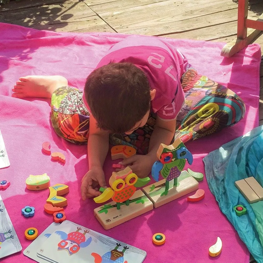 HOPTOYS Idees Cadeaux Pour Une Personne Avec Un Handicap Visuel*Hiboux Precieux