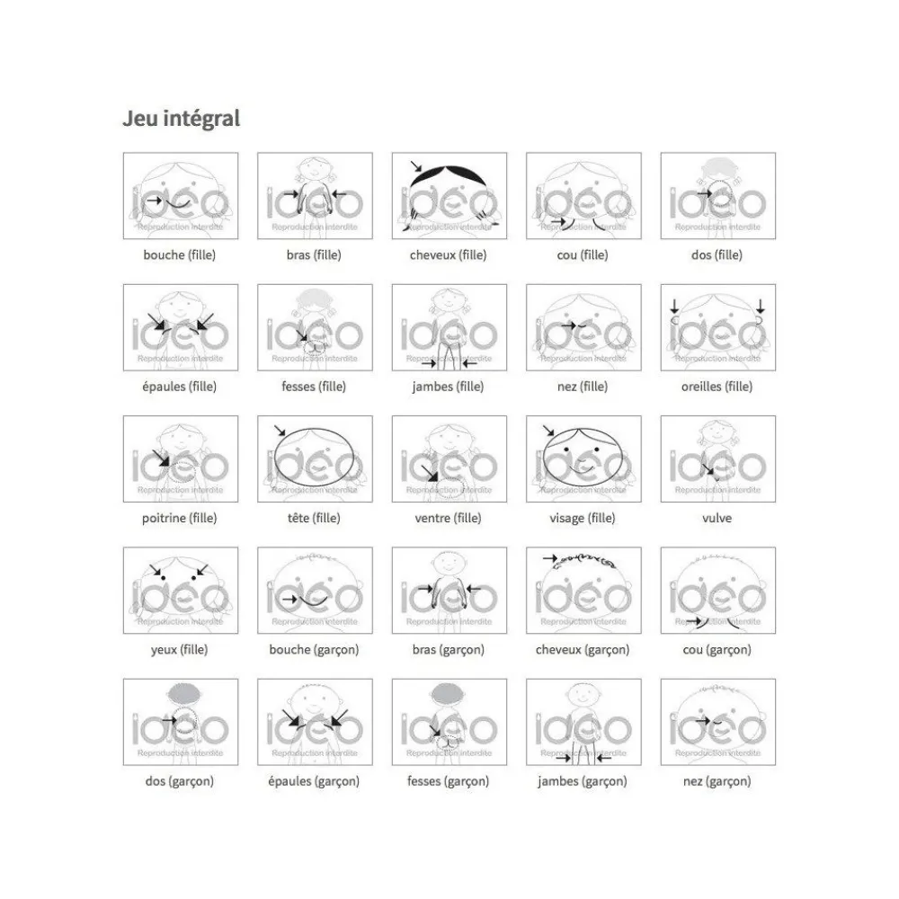 HOPTOYS Routines & Supports D'Affichage*Ideo - Jeu Integral