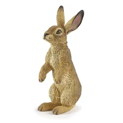 HOPTOYS Stimulation Tactile*La Vie Sauvage - La Foret