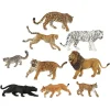HOPTOYS Stimulation Tactile*La Vie Sauvage - Les Felins