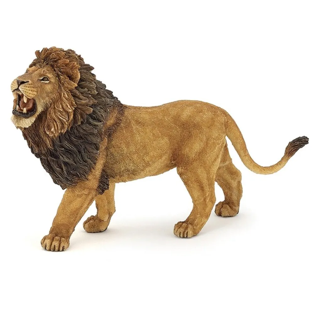 HOPTOYS Imagiers & Jeux De Langage<La Vie Sauvage - Les Felins