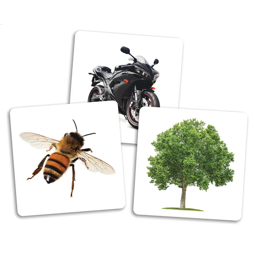 HOPTOYS Imagiers & Jeux De Langage<Le De Des Premiers Mots - Cartes Supplementaires