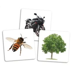 HOPTOYS Jeux Éducatifs*Le De Des Premiers Mots - Cartes Supplementaires