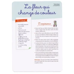 HOPTOYS Matériel Montessori & Reggio*Les Experiences De Sciences Avec Montessori