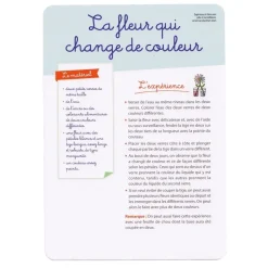HOPTOYS Attention, Attention Divisee, Concentration<Les Experiences De Sciences Avec Montessori