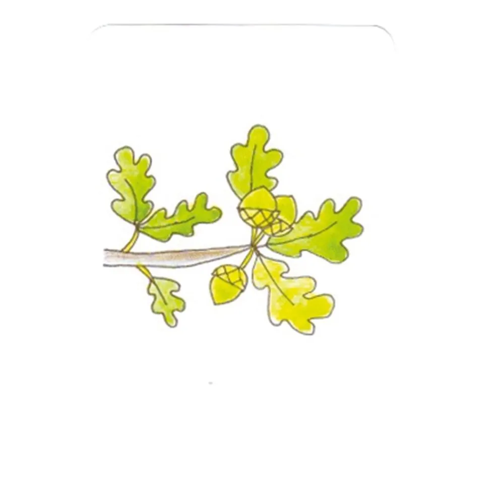 HOPTOYS Lexique, Imagerie, Langage Oral<Les Histoires A Raconter Montessori