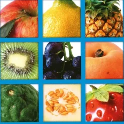 HOPTOYS Mémoire & Attention*Loto Des Fruits