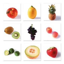 HOPTOYS Mémoire & Attention*Loto Des Fruits