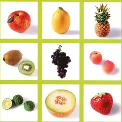 HOPTOYS Mémoire & Attention*Loto Des Fruits