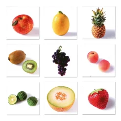 HOPTOYS Attention, Impulsivite, Concentration<Loto Des Fruits