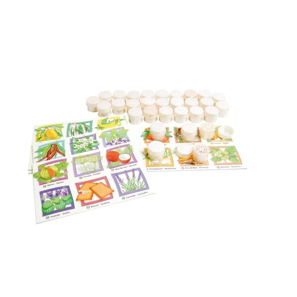 HOPTOYS Mémoire<Loto Des Odeurs