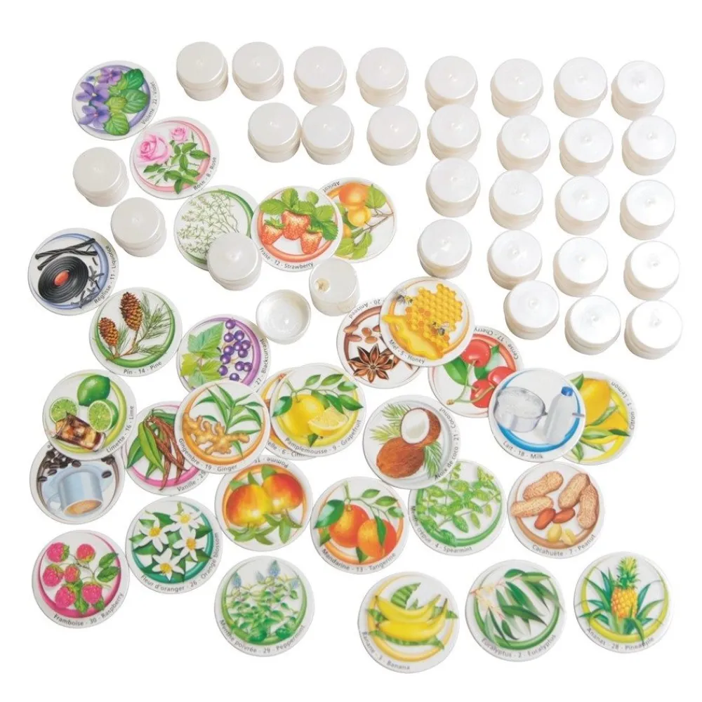 HOPTOYS ReÉducation De La Sensibilite<Loto Des Saveurs