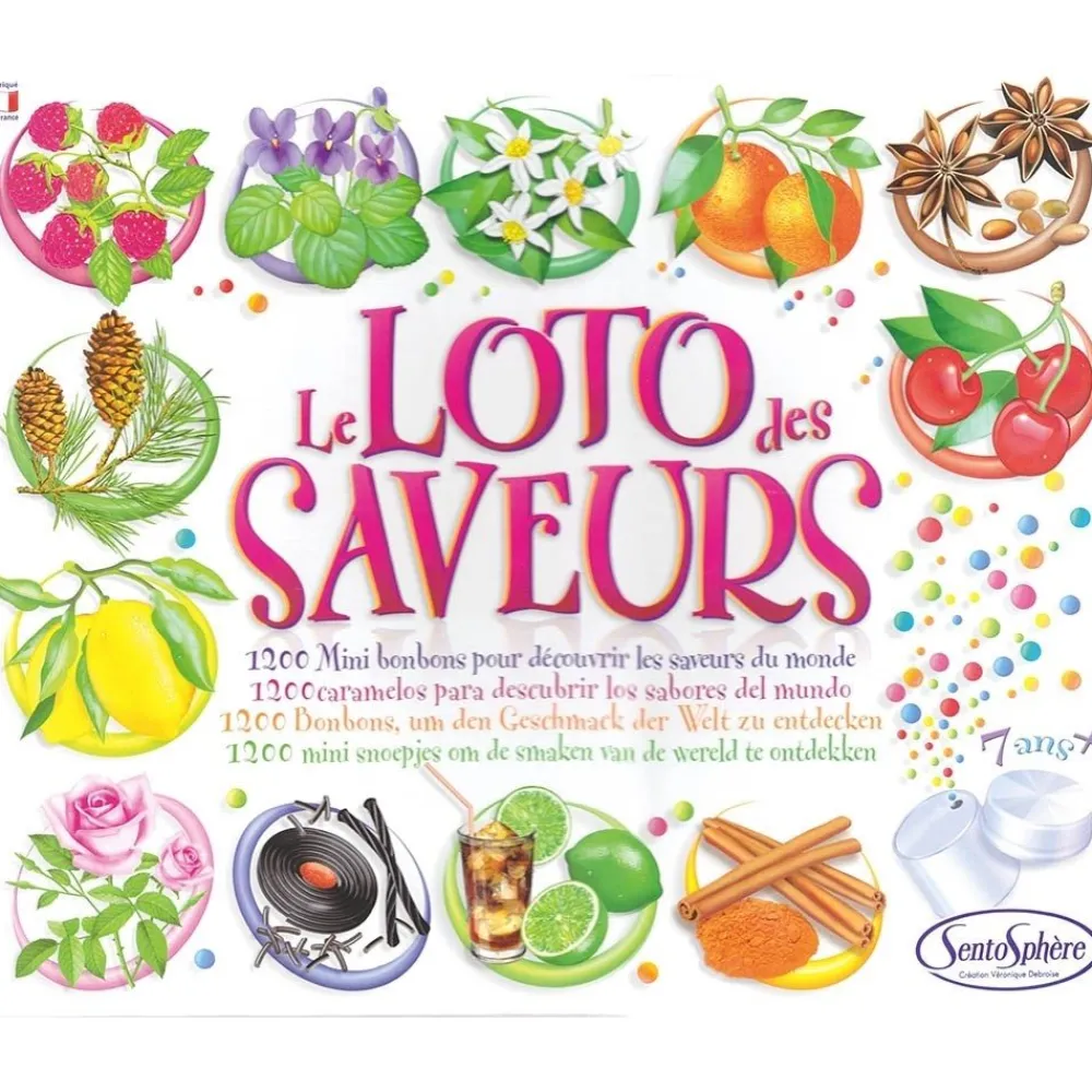 HOPTOYS ReÉducation De La Sensibilite<Loto Des Saveurs