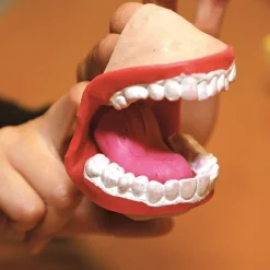 HOPTOYS Praxies Bucco-Faciales<Marionnette Bavarde