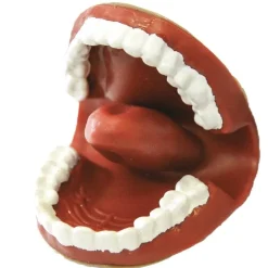 HOPTOYS Stimulation De La Zone Oro-Faciale*Marionnette Bavarde