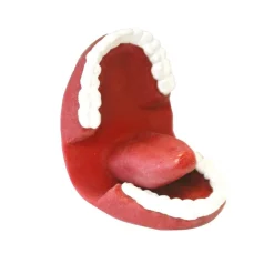 HOPTOYS Stimulation De La Zone Oro-Faciale*Marionnette Bavarde