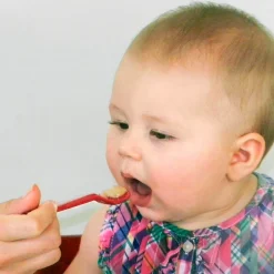 HOPTOYS Troubles De L'Oralite<Maroon Spoon - Cuilleres Ark