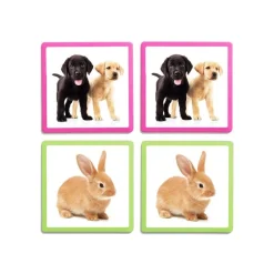 HOPTOYS Lexique, Imagerie, Langage Oral<Maxi-Memo Des Animaux
