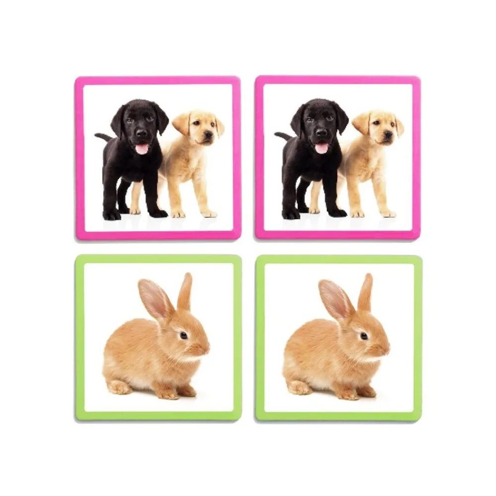 HOPTOYS Lexique, Imagerie, Langage Oral<Maxi-Memo Des Animaux