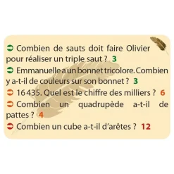 HOPTOYS Raisonnement Logico-Mathematique<Nume Cat'S Les Enigmes Mathématiques