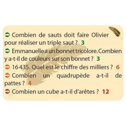 HOPTOYS Dyscalculie*Nume Cat'S Les Enigmes Mathématiques