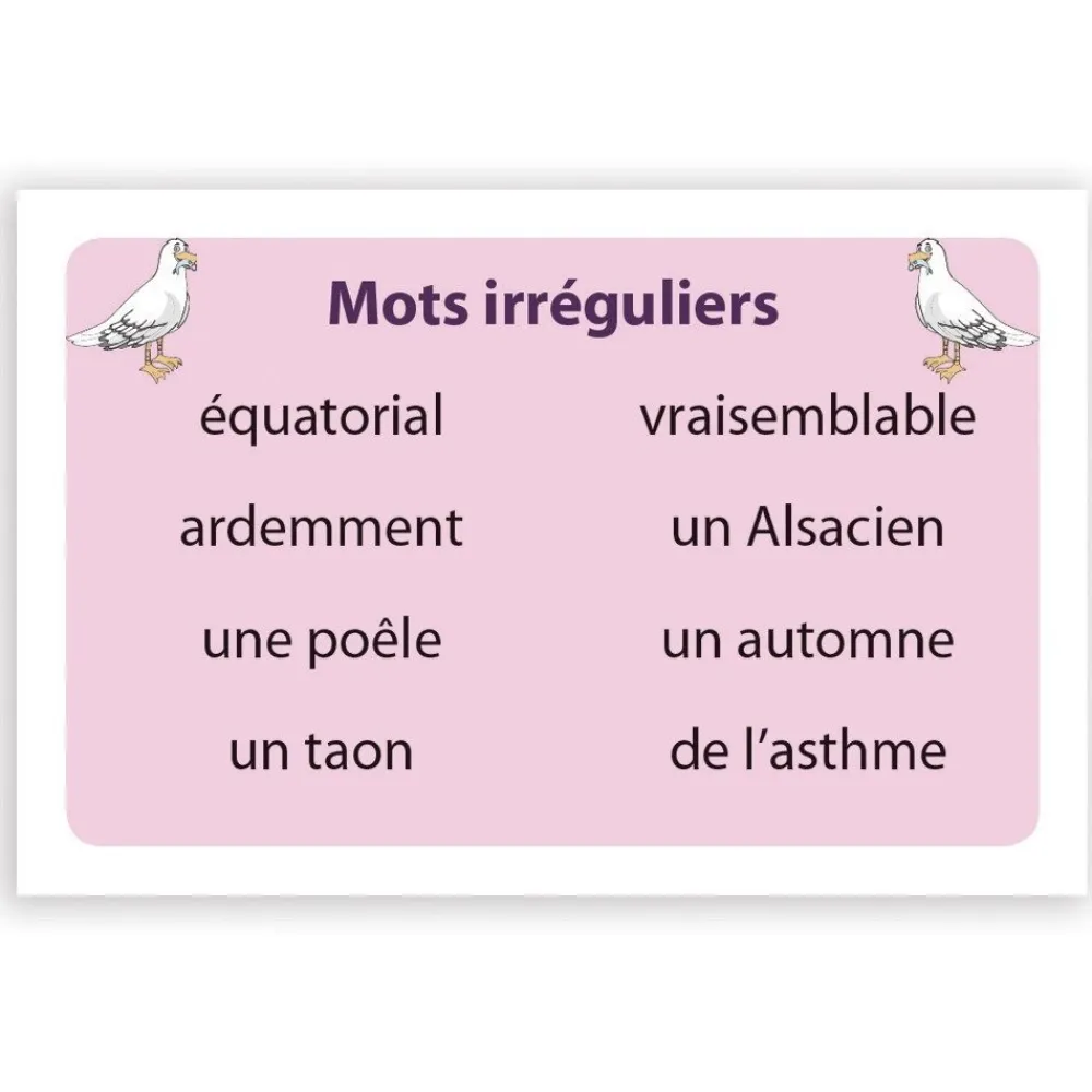 HOPTOYS Compréhension Orale & Ecrite<Ortho Cat'S 3 - Les Mots
