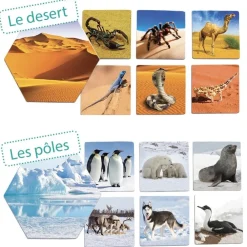 HOPTOYS Jeux Éducatifs*Ou Les Animaux Vivent-Ils ?