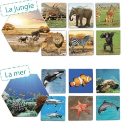 HOPTOYS Jeux Éducatifs*Ou Les Animaux Vivent-Ils ?