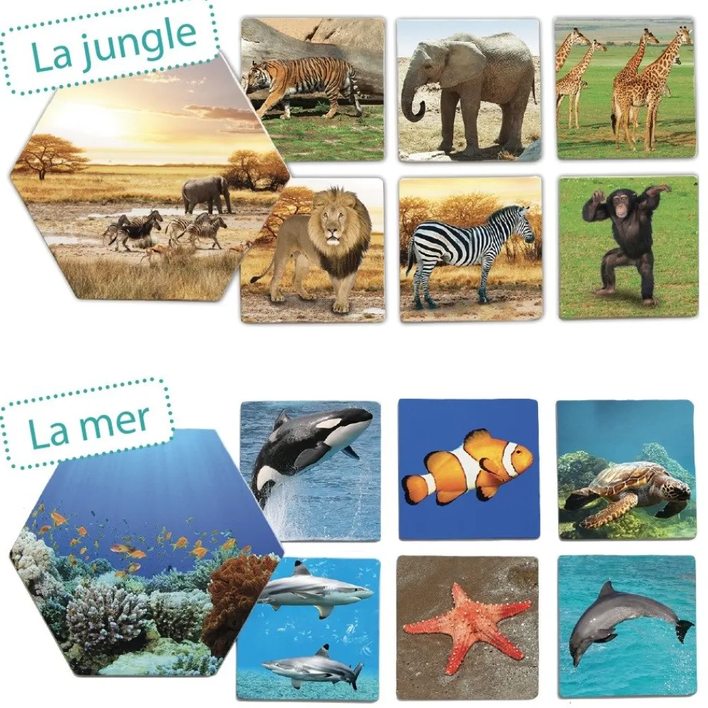 HOPTOYS Imagiers & Jeux De Langage<Ou Les Animaux Vivent-Ils ?