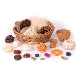 HOPTOYS Jouets Sensoriels<Panier D'Objets Naturels