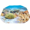 HOPTOYS Eveil & Experimentation Sensoriels<Planche Decor Corail