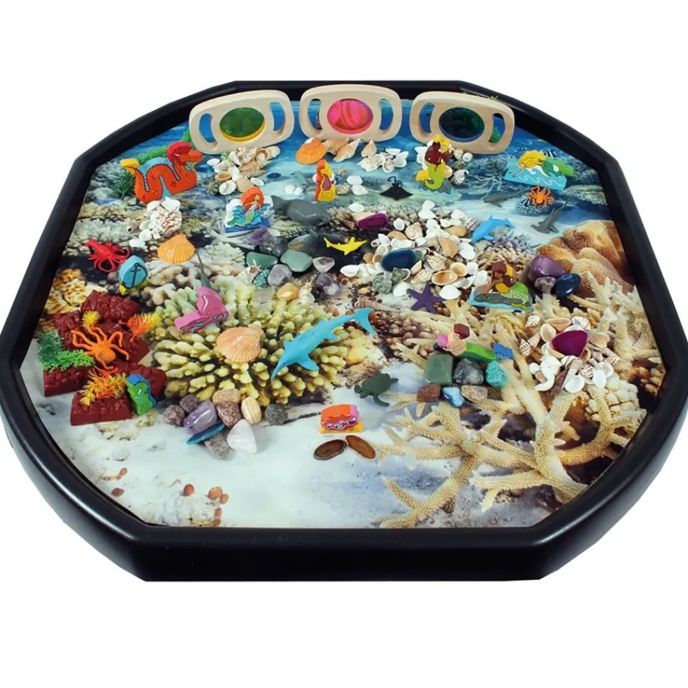 HOPTOYS Eveil & Experimentation Sensoriels<Planche Decor Corail