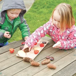 HOPTOYS Mathématiques, Formes & Couleurs*Plateau De Classement En Bois – 10